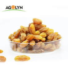 Agolyn Premium Bulk Packaging and Dried Style seedless golden raisin